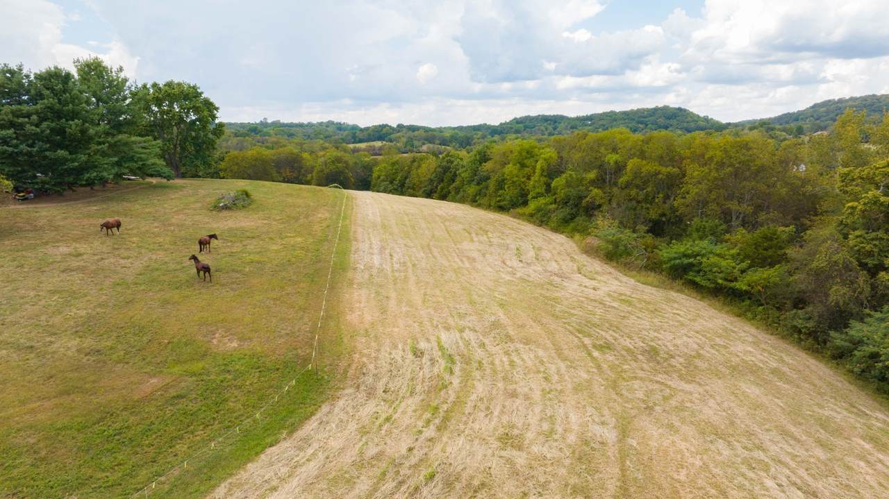 https://bt-photos.global.ssl.fastly.net/nashville/1280_boomver_1_RTC3181238-1.jpg