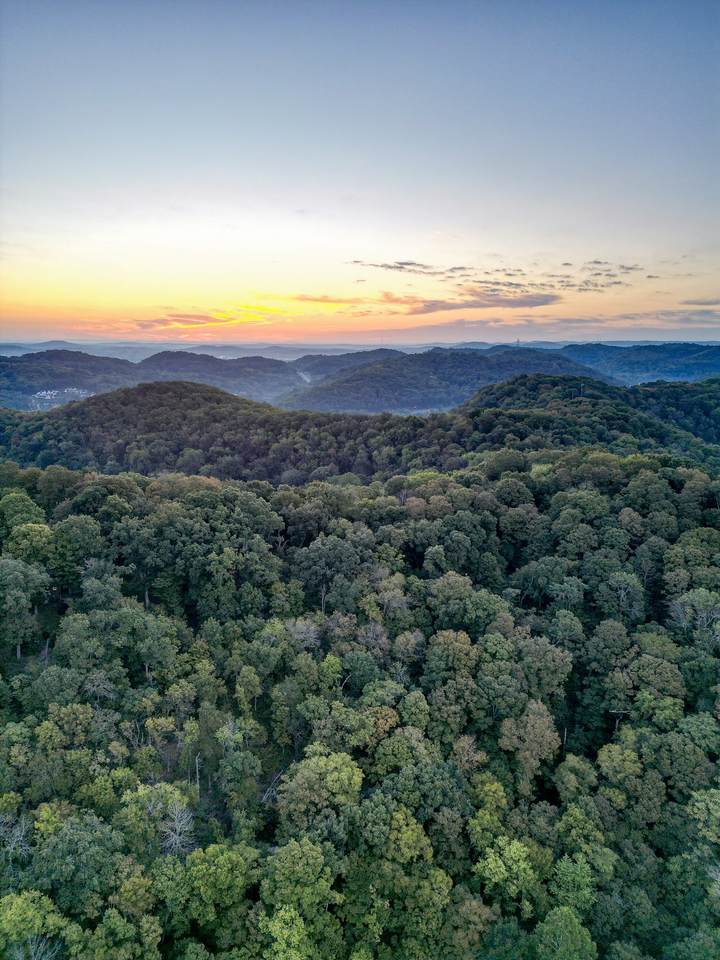 https://bt-photos.global.ssl.fastly.net/nashville/1280_boomver_1_RTC3181467-1.jpg