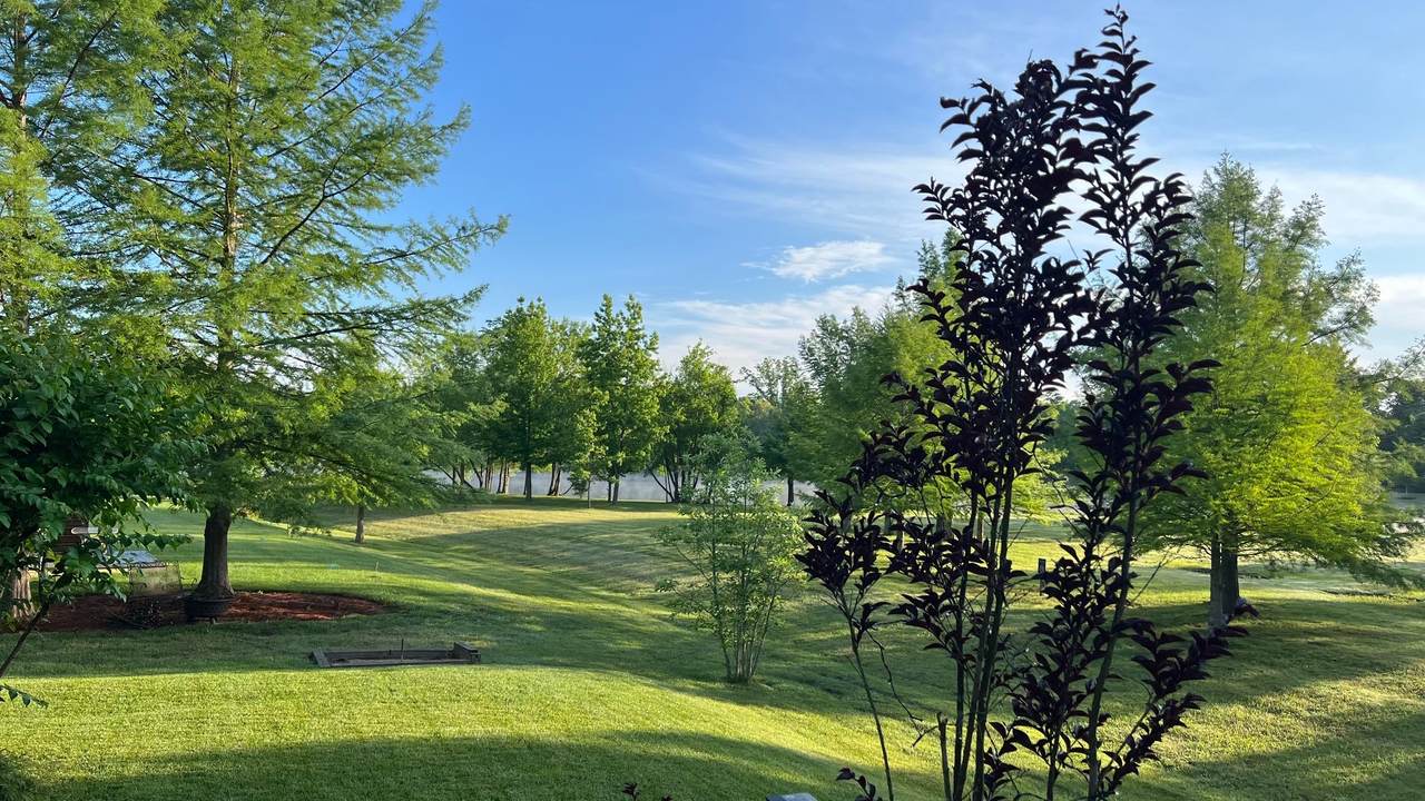 https://bt-photos.global.ssl.fastly.net/nashville/1280_boomver_1_RTC3181946-1.jpg