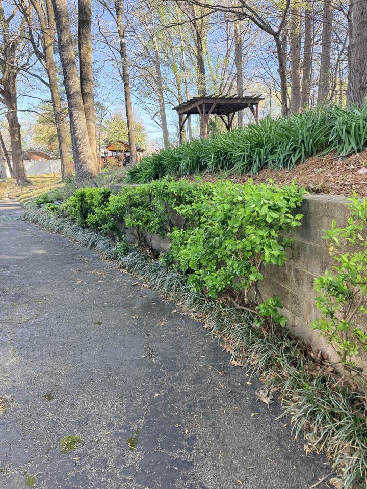 https://bt-photos.global.ssl.fastly.net/nashville/1280_boomver_1_RTC3182389-1.jpg