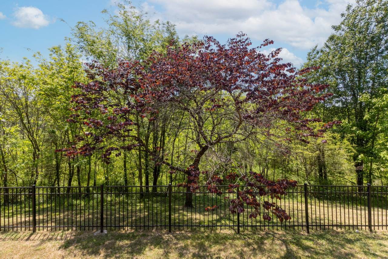https://bt-photos.global.ssl.fastly.net/nashville/1280_boomver_1_RTC3182957-1.jpg