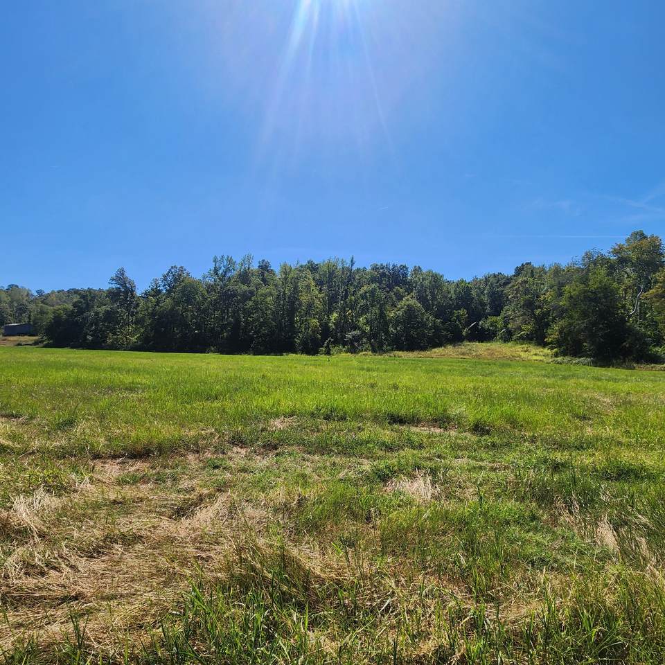 229 Bob Walker Rd - Photo 1