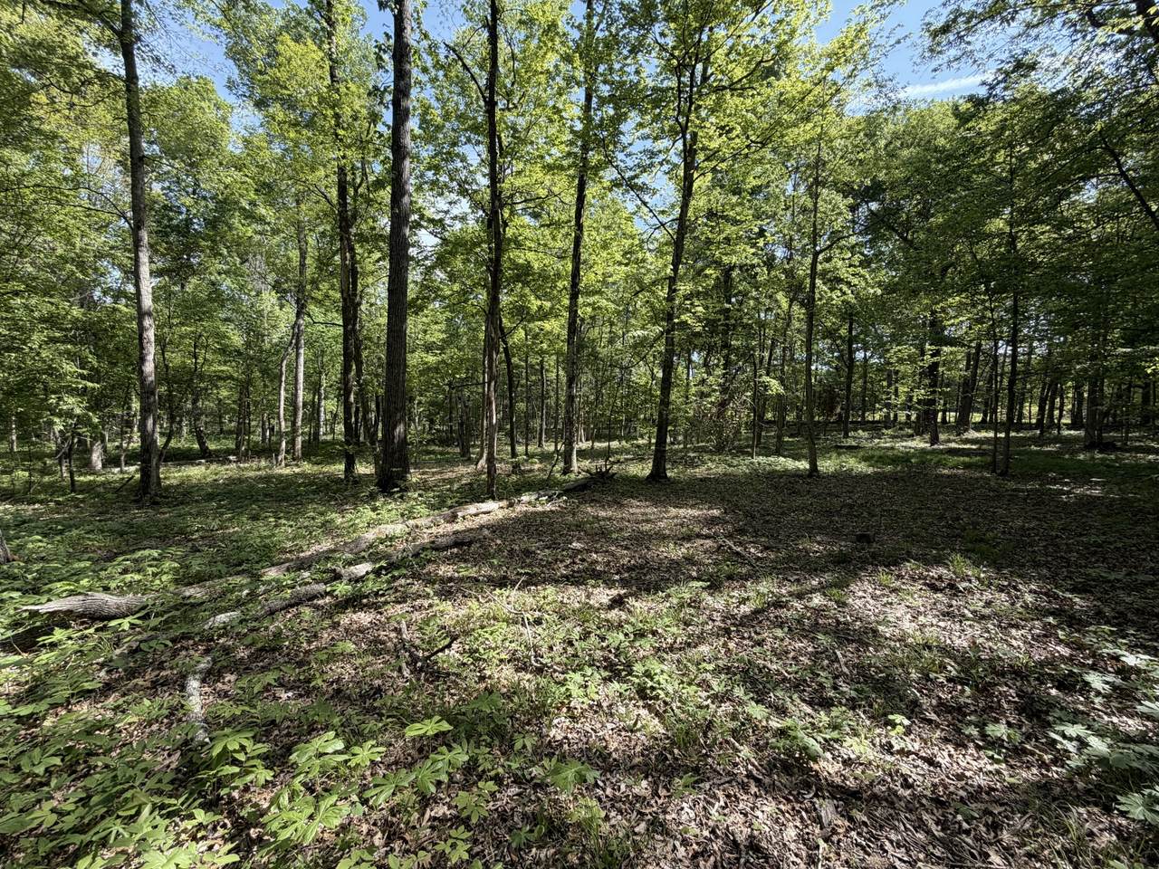 https://bt-photos.global.ssl.fastly.net/nashville/1280_boomver_1_RTC3184575-1.jpg