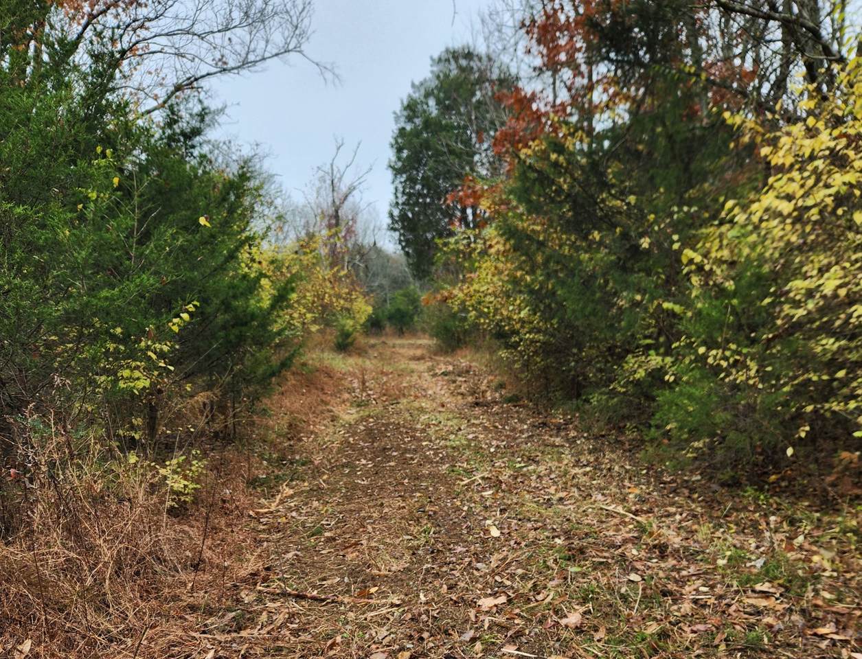 https://bt-photos.global.ssl.fastly.net/nashville/1280_boomver_1_RTC3184618-1.jpg