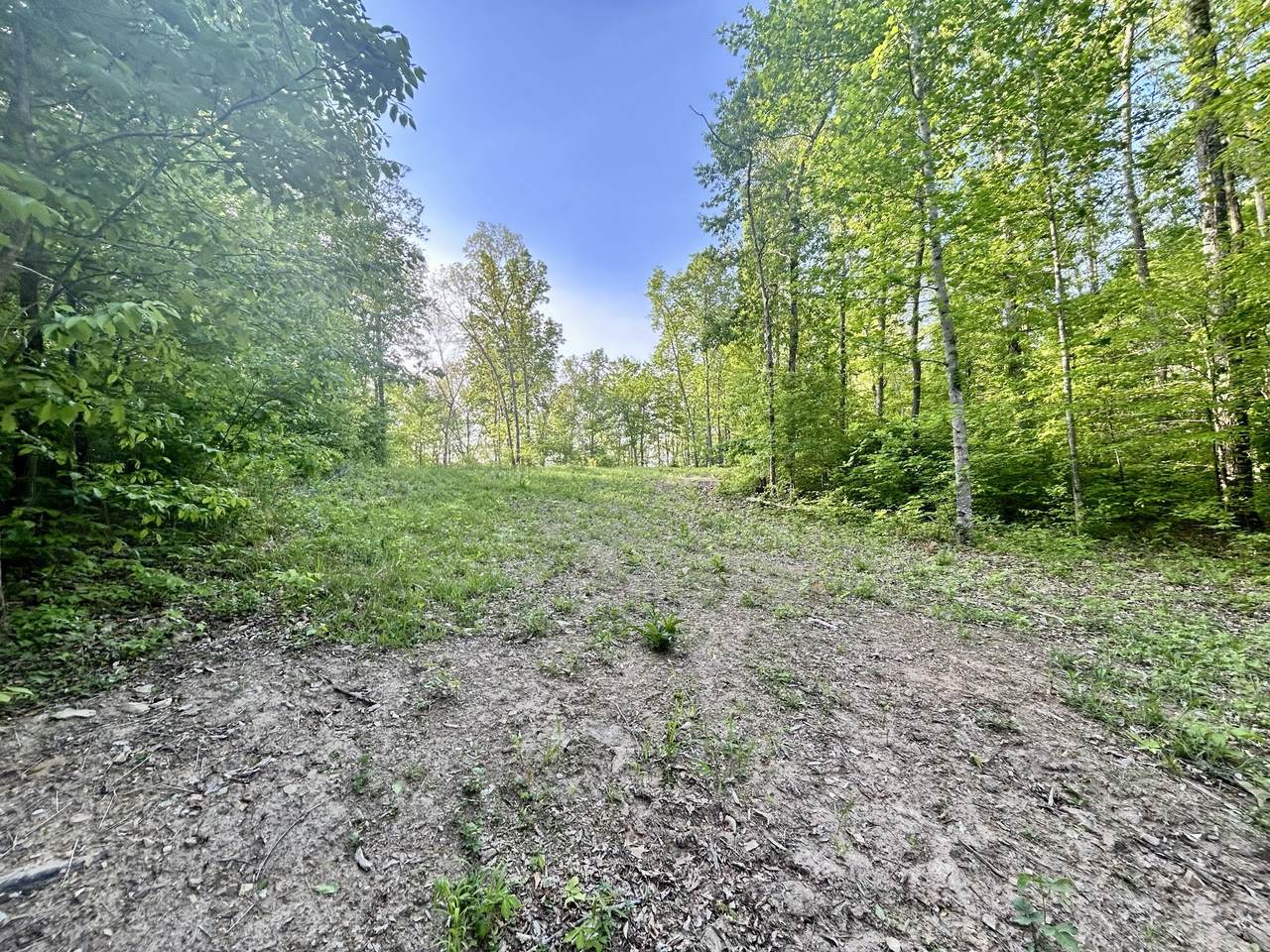 0 Chappell Cemetery Rd - Photo 1
