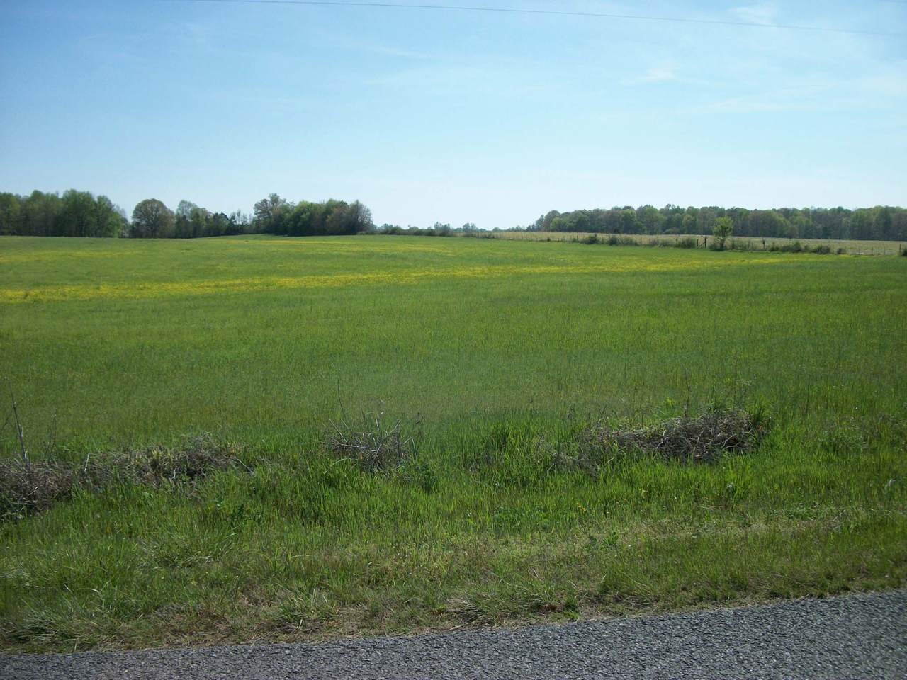 0 Blanton School Rd - Photo 1
