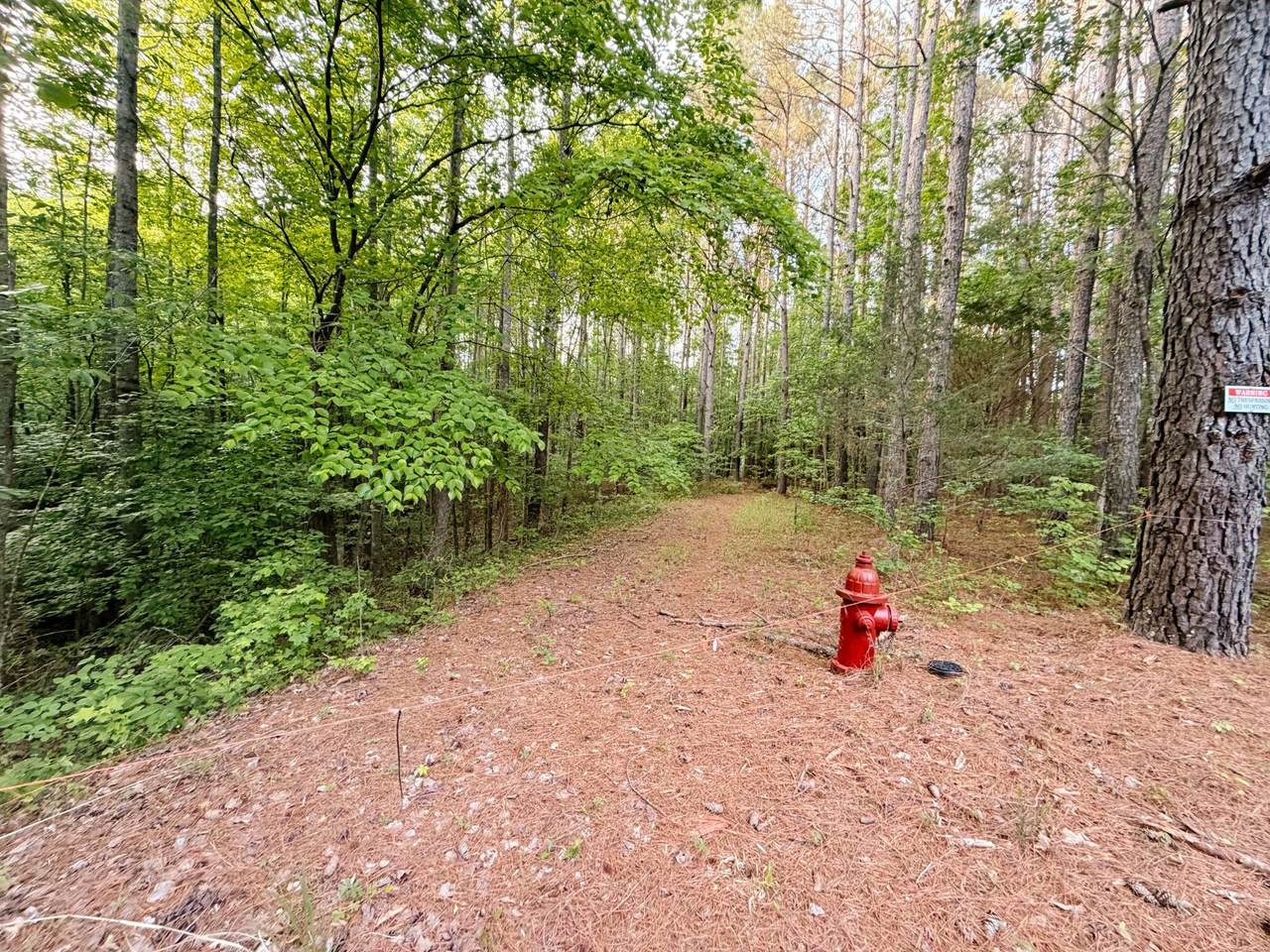 0 Allen Bend Rd - Photo 1
