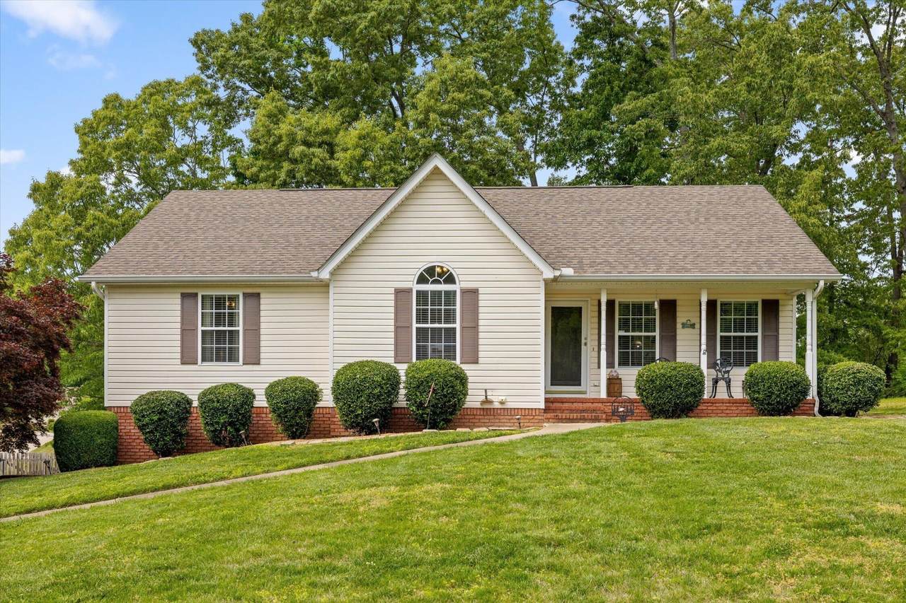 10155 Bear Trail Drive - Photo 1