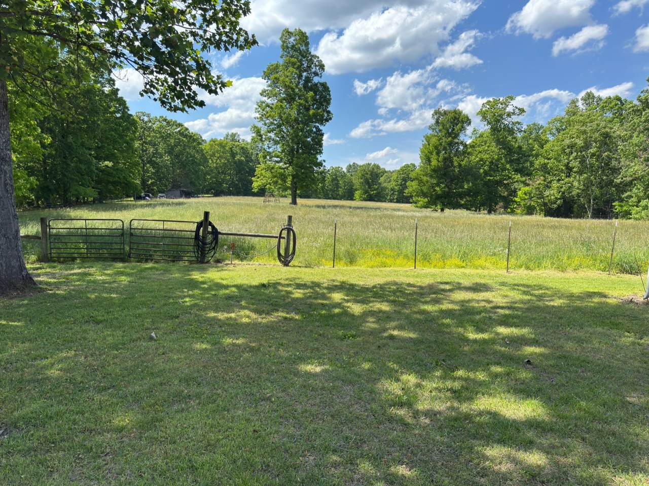 https://bt-photos.global.ssl.fastly.net/nashville/1280_boomver_1_RTC3190060-1.jpg
