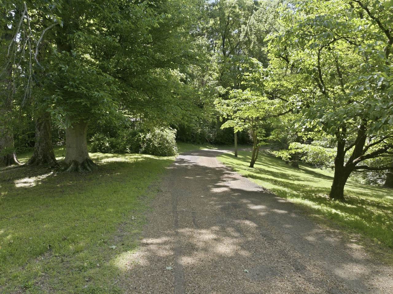 https://bt-photos.global.ssl.fastly.net/nashville/1280_boomver_1_RTC3190327-1.jpg