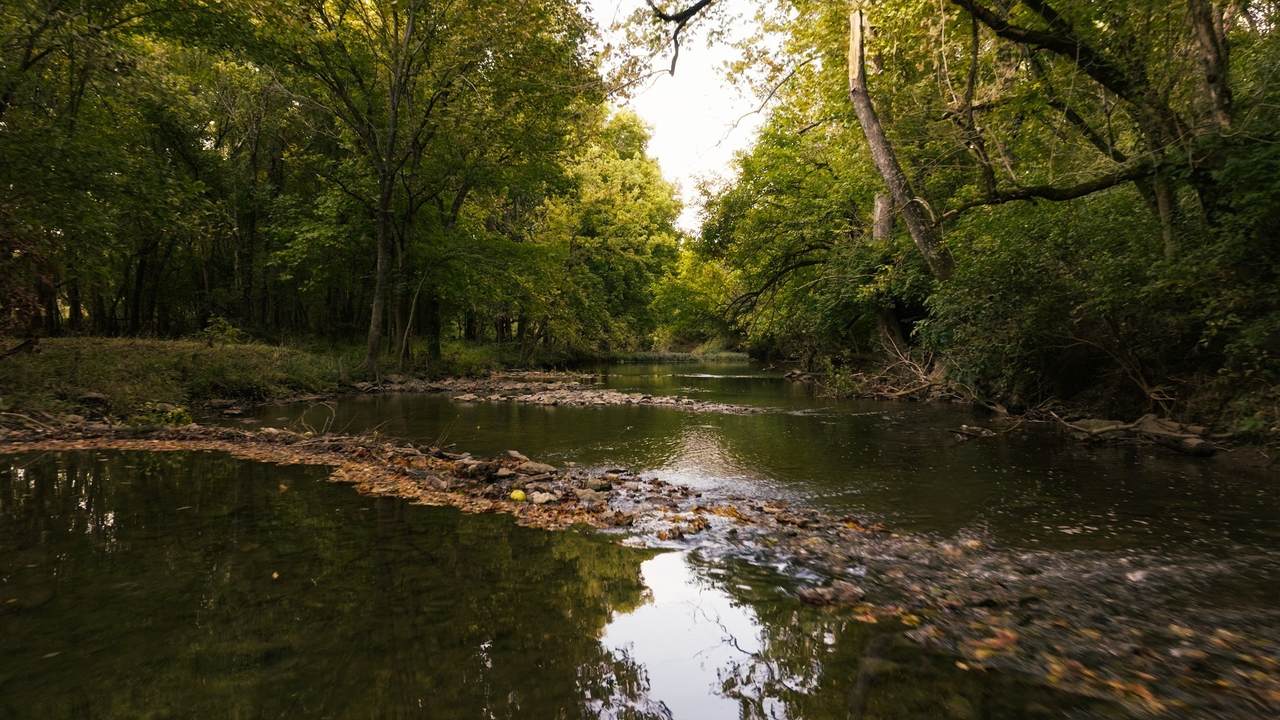 https://bt-photos.global.ssl.fastly.net/nashville/1280_boomver_1_RTC3190776-1.jpg