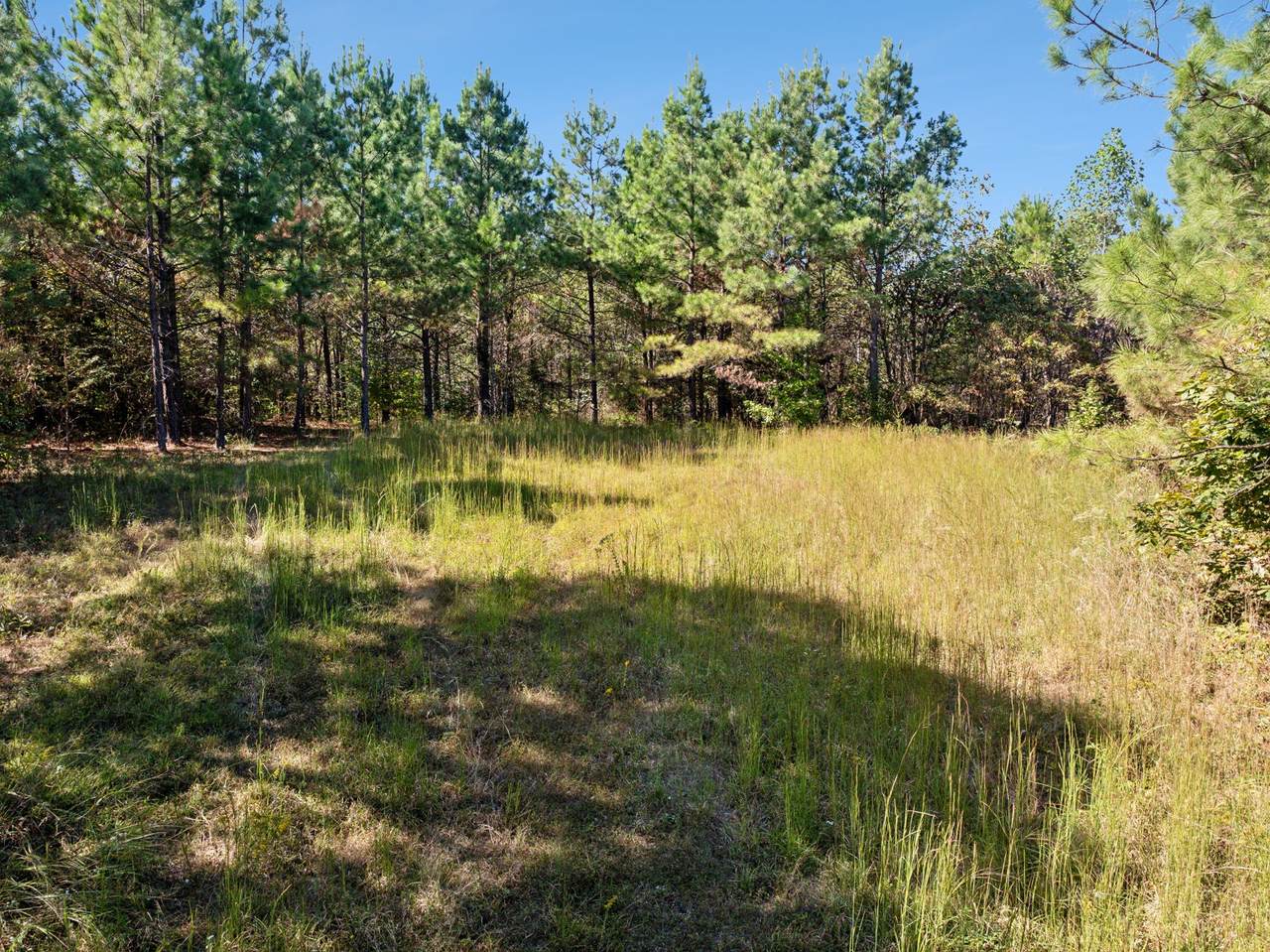 0 Cox Hollow Lot 43A & 43B - Photo 1