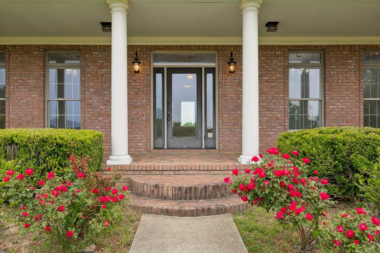 https://bt-photos.global.ssl.fastly.net/nashville/1280_boomver_1_RTC3191350-1.jpg
