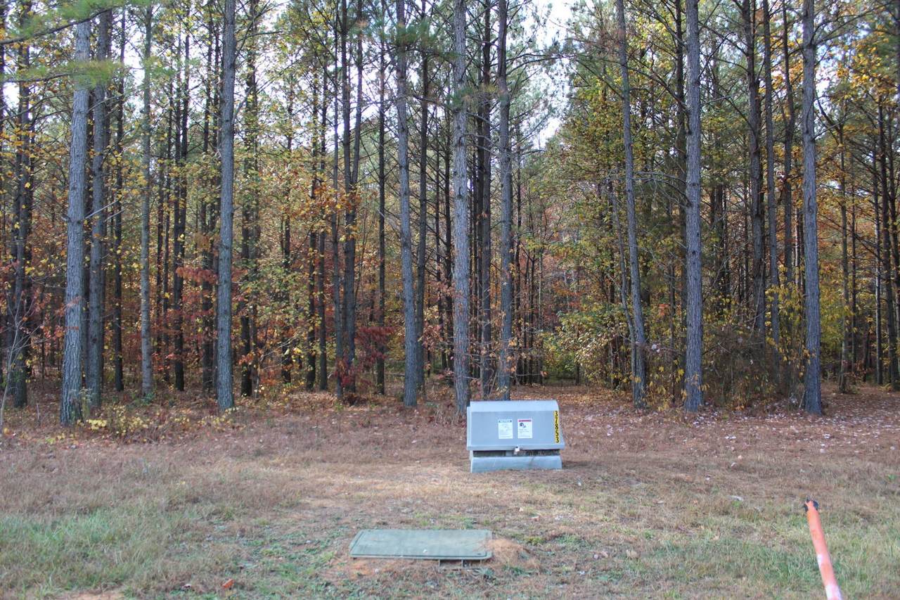 https://bt-photos.global.ssl.fastly.net/nashville/1280_boomver_1_RTC3193849-1.jpg