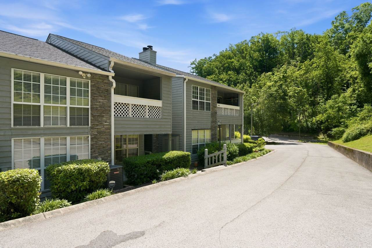 303 Post Creek Rd - Photo 1