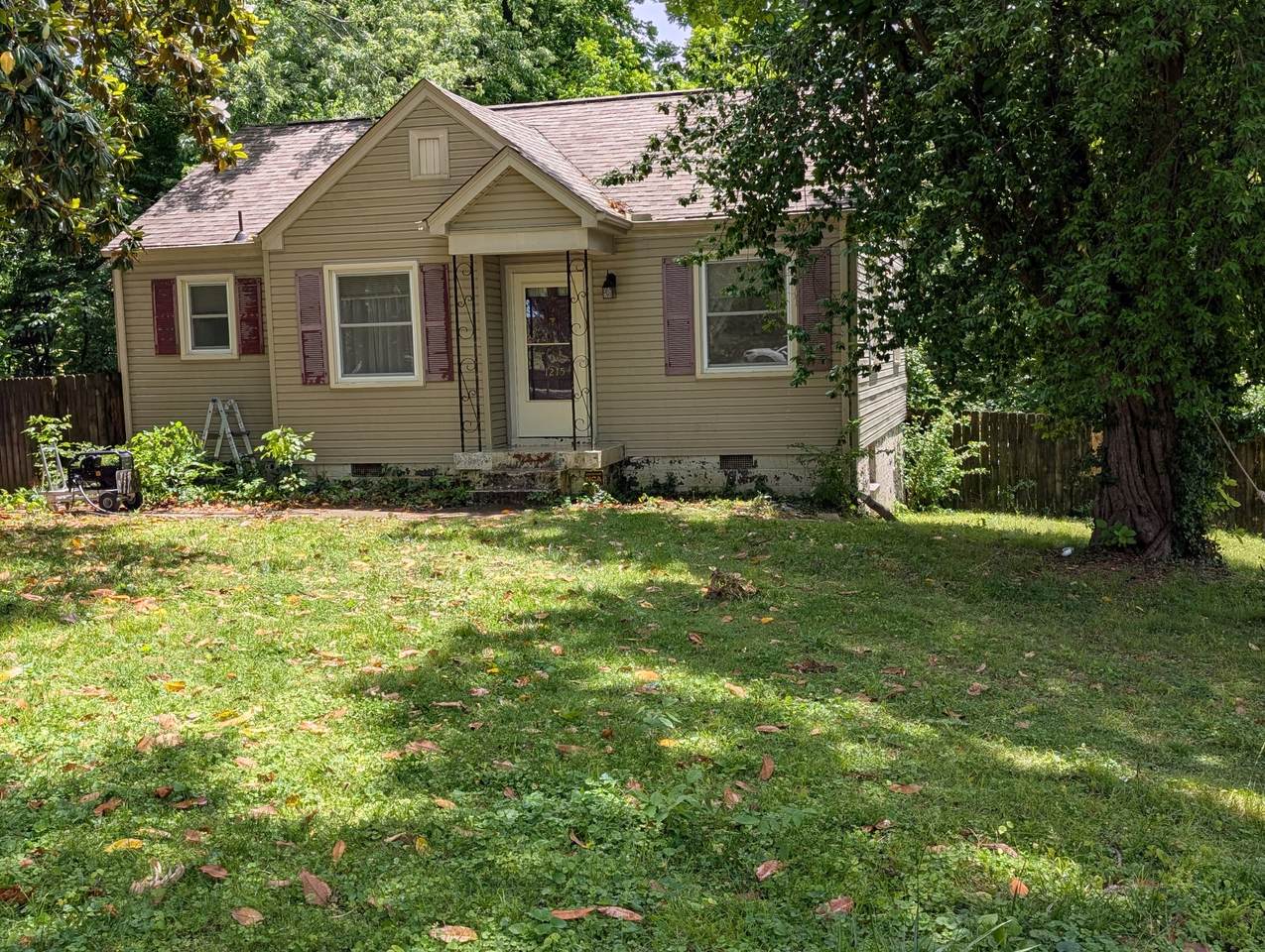 1215 Catina Dr - Photo 1