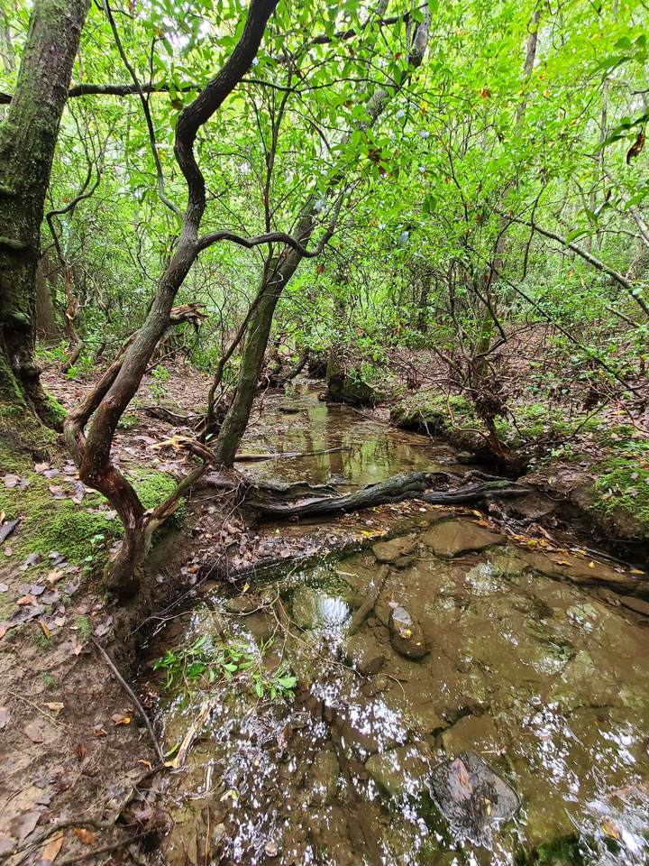 https://bt-photos.global.ssl.fastly.net/nashville/1280_boomver_1_RTC3206974-1.jpg