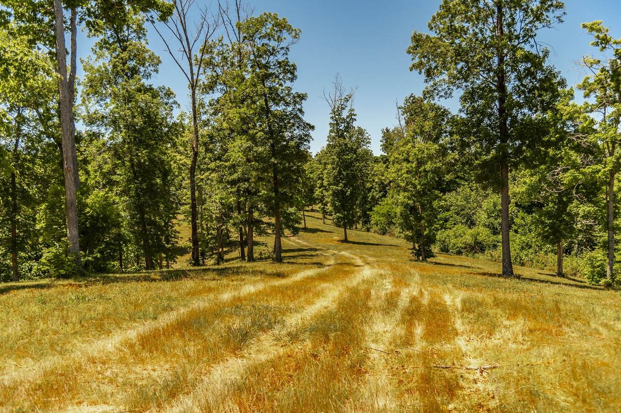 8388 Cub Creek Rd - Photo 1