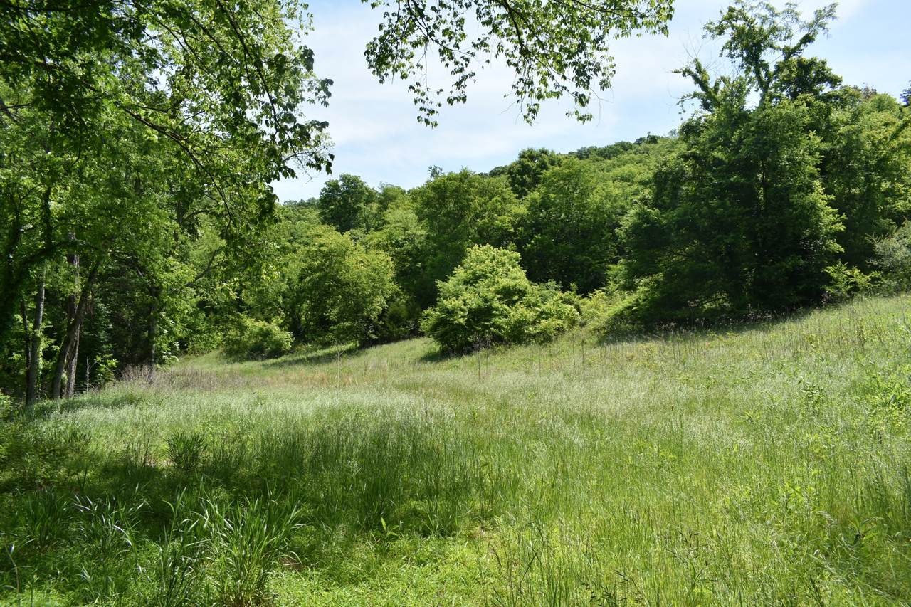0 Brooks Bend Lane - Photo 1