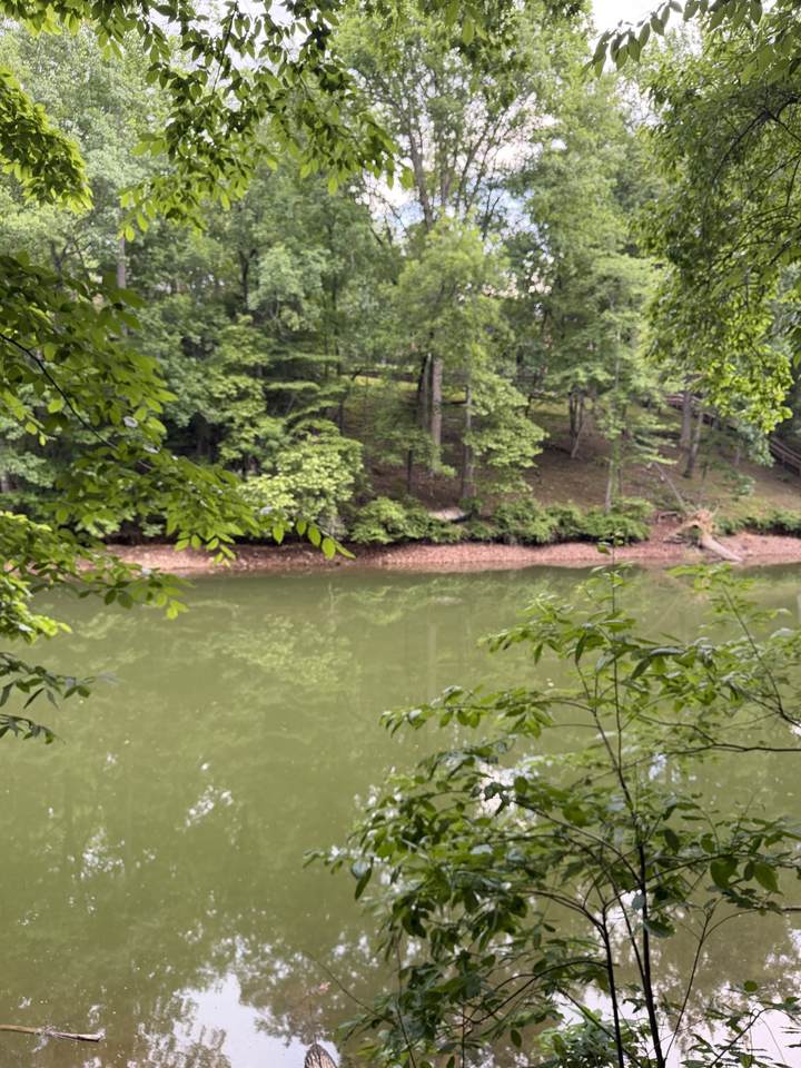 https://bt-photos.global.ssl.fastly.net/nashville/1280_boomver_1_RTC3217180-1.jpg