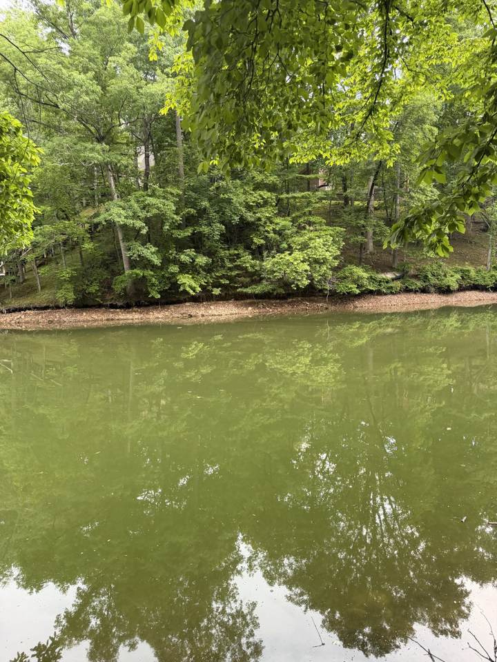 https://bt-photos.global.ssl.fastly.net/nashville/1280_boomver_1_RTC3217180-1.jpg