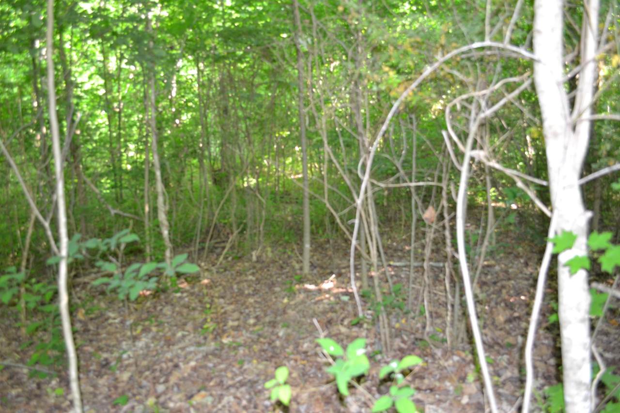 0 Dynamite Ln - Photo 1