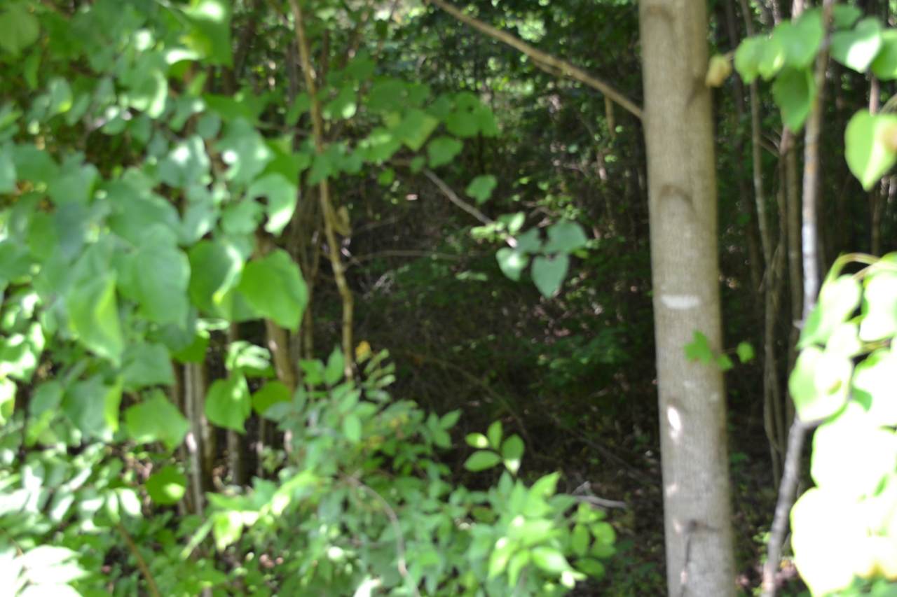 https://bt-photos.global.ssl.fastly.net/nashville/1280_boomver_1_RTC3218345-1.jpg
