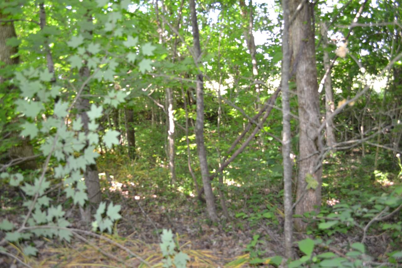 https://bt-photos.global.ssl.fastly.net/nashville/1280_boomver_1_RTC3218345-1.jpg