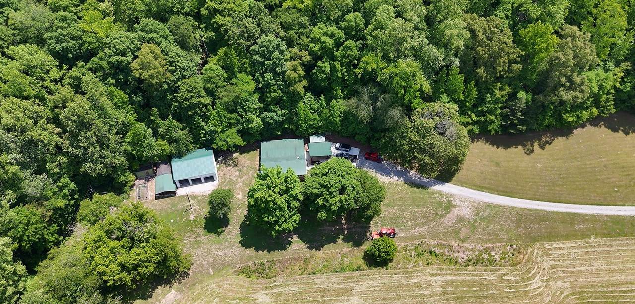 1331 Turkey Creek Loop - Photo 1