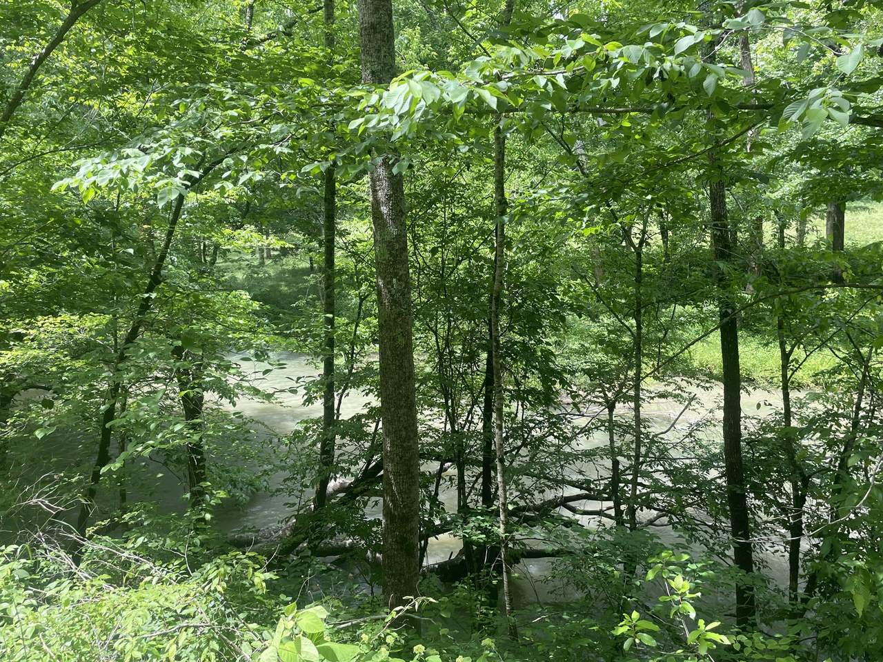 457 Shiloh Rd - Photo 1