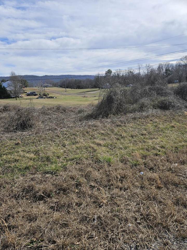 0 Hwy 411 - Photo 1