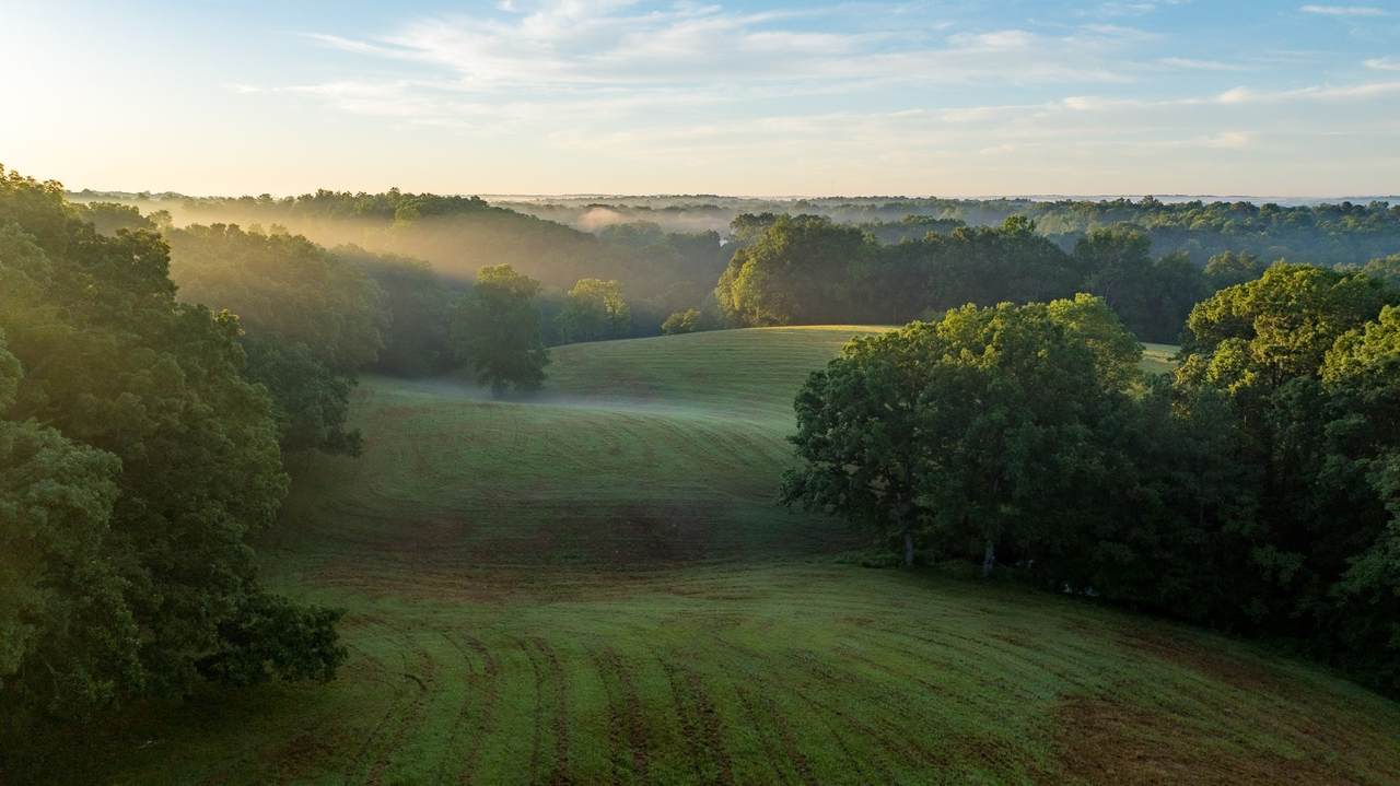 https://bt-photos.global.ssl.fastly.net/nashville/1280_boomver_1_RTC3221704-1.jpg