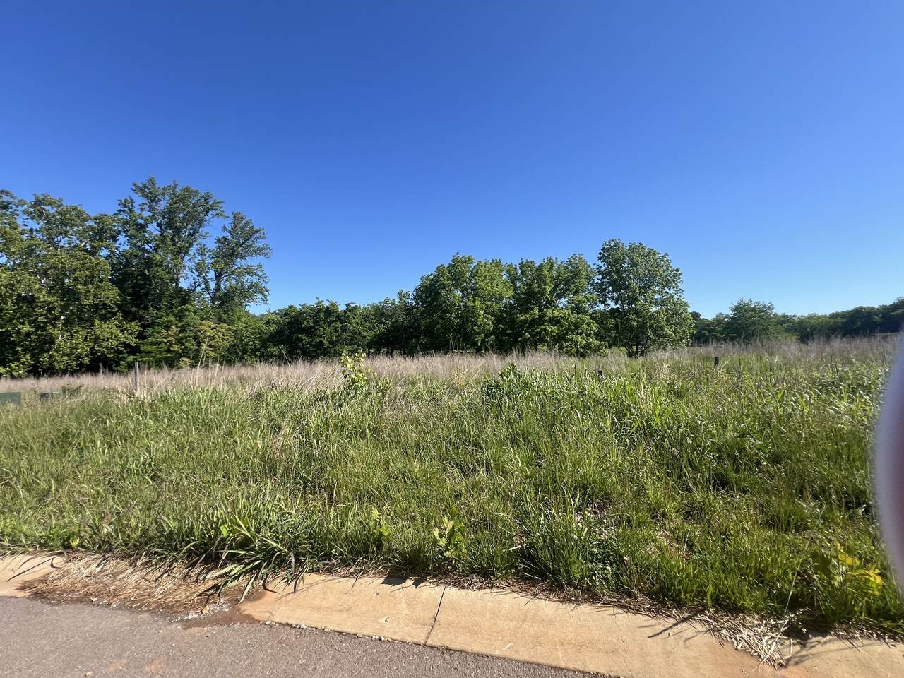3040 Timberdale Dr - Photo 1