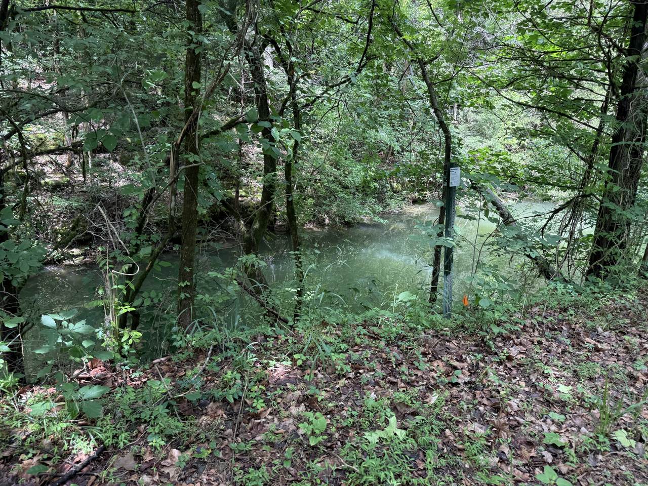 https://bt-photos.global.ssl.fastly.net/nashville/1280_boomver_1_RTC3221796-1.jpg