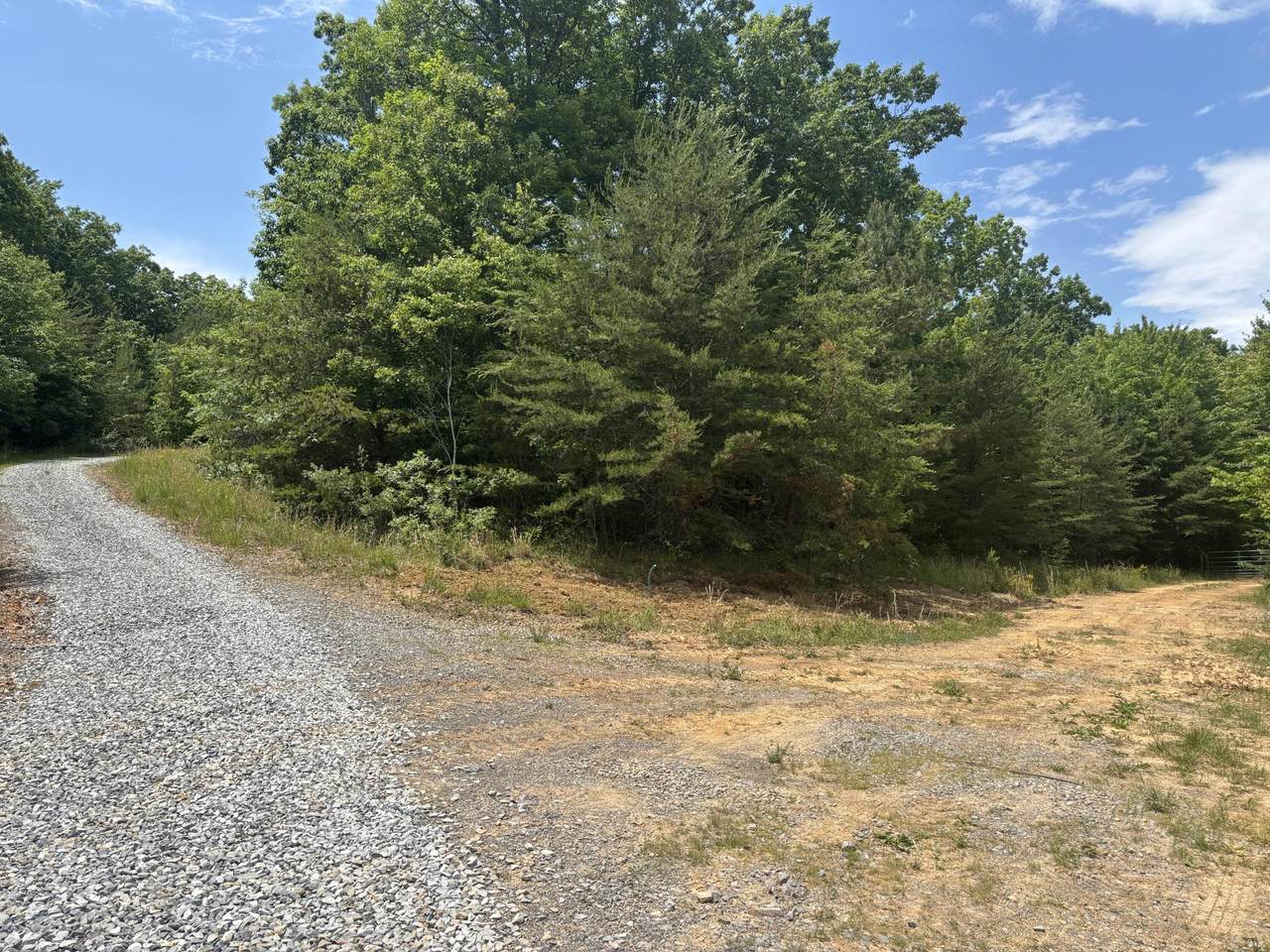 0 Sawmill Creek Rd - Photo 1