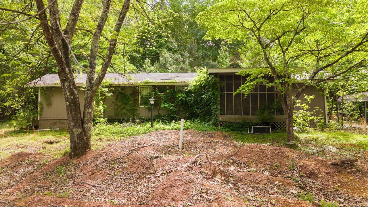 3414 No Pone Road - Photo 1