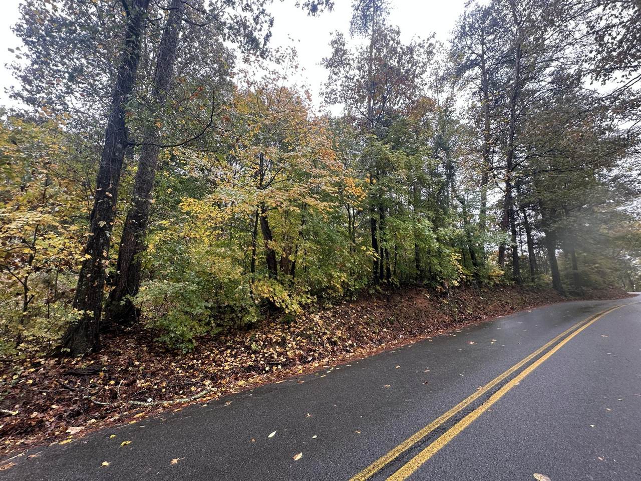 6 Candies Creek Ridge Road - Photo 1