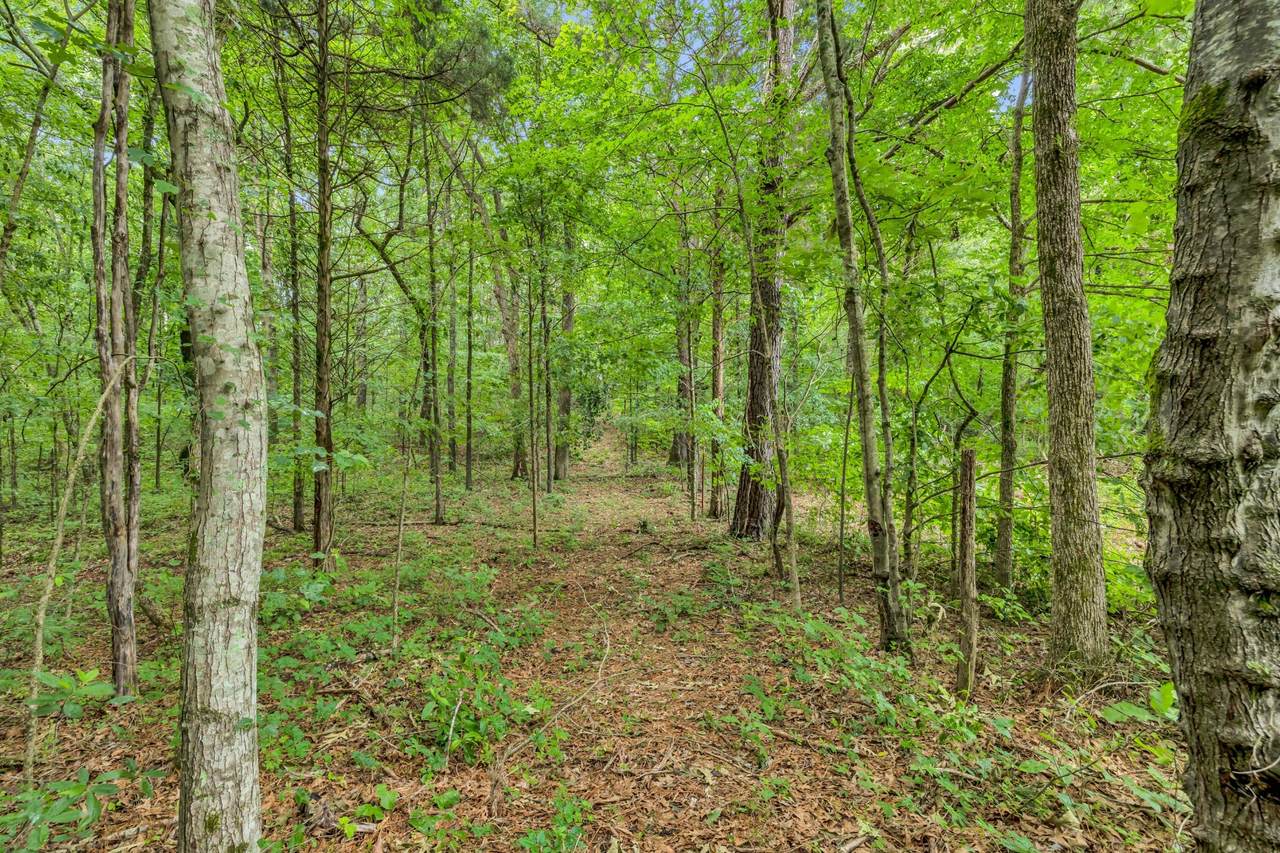 https://bt-photos.global.ssl.fastly.net/nashville/1280_boomver_1_RTC3224839-1.jpg