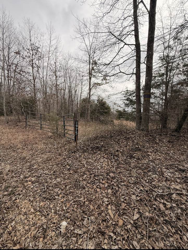 1975 Dogwood Rd - Photo 1