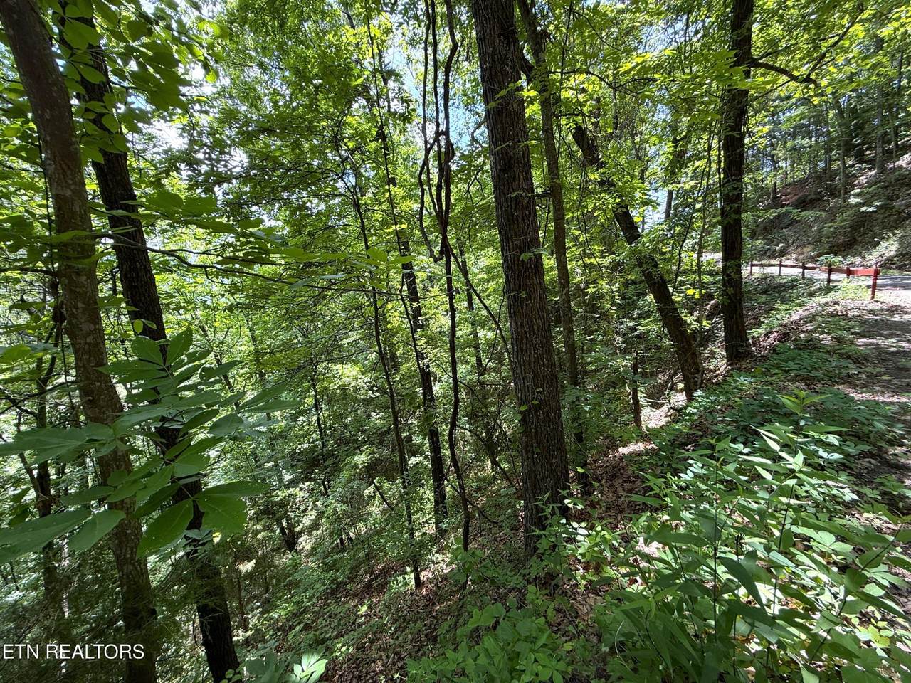 https://bt-photos.global.ssl.fastly.net/nashville/1280_boomver_1_RTC3225503-1.jpg