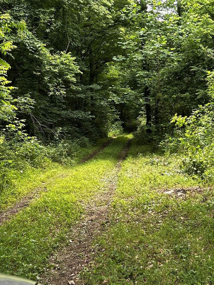 https://bt-photos.global.ssl.fastly.net/nashville/orig_boomver_1_RTC3225838-1.jpg