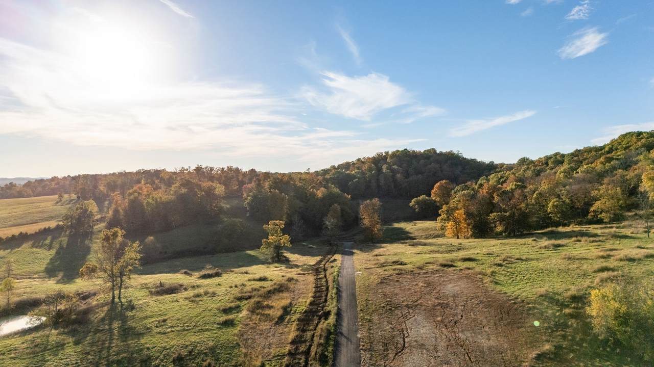 https://bt-photos.global.ssl.fastly.net/nashville/1280_boomver_1_RTC3225883-1.jpg