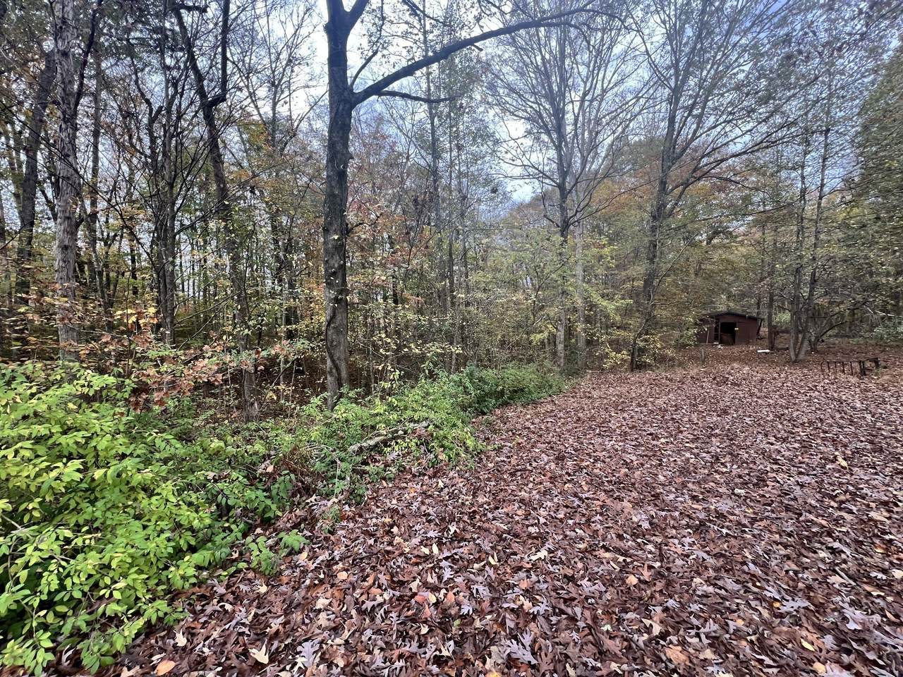 https://bt-photos.global.ssl.fastly.net/nashville/1280_boomver_1_RTC3225938-1.jpg