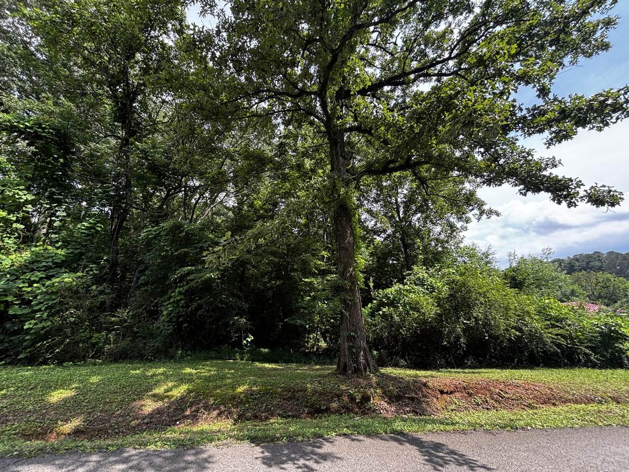 0 Kendall Avenue - Photo 1