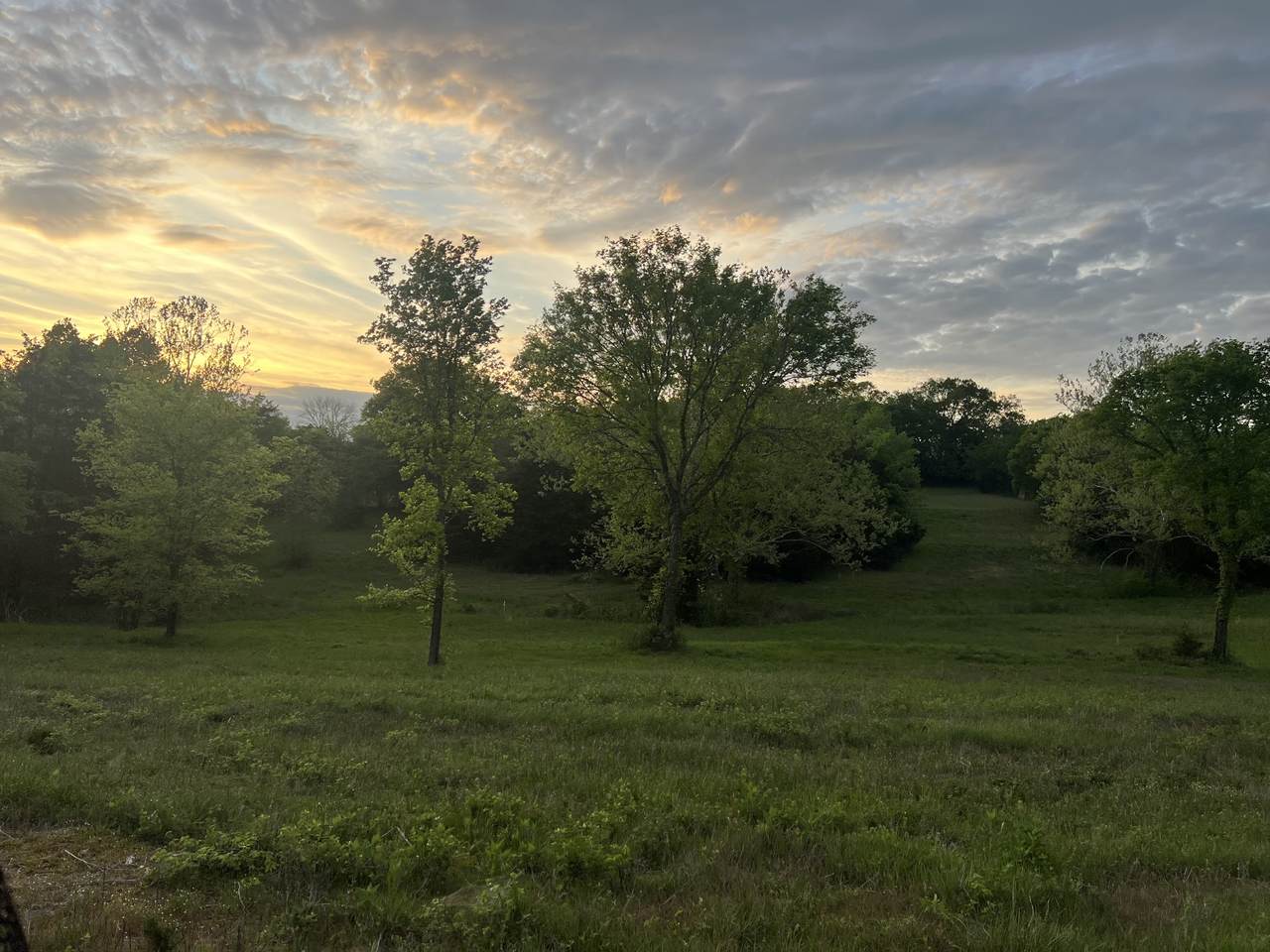https://bt-photos.global.ssl.fastly.net/nashville/1280_boomver_1_RTC3226535-1.jpg
