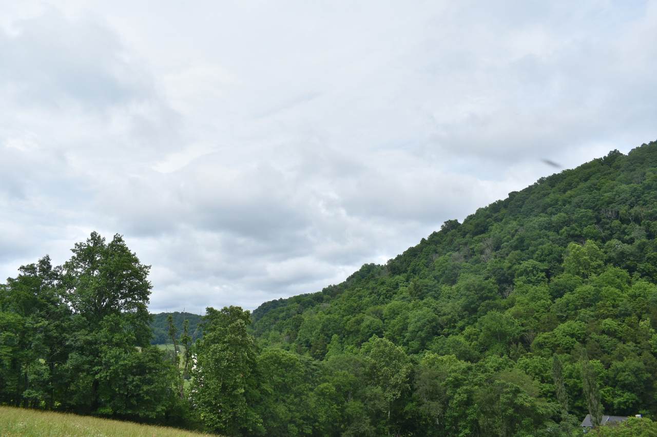 https://bt-photos.global.ssl.fastly.net/nashville/1280_boomver_1_RTC3226601-1.jpg