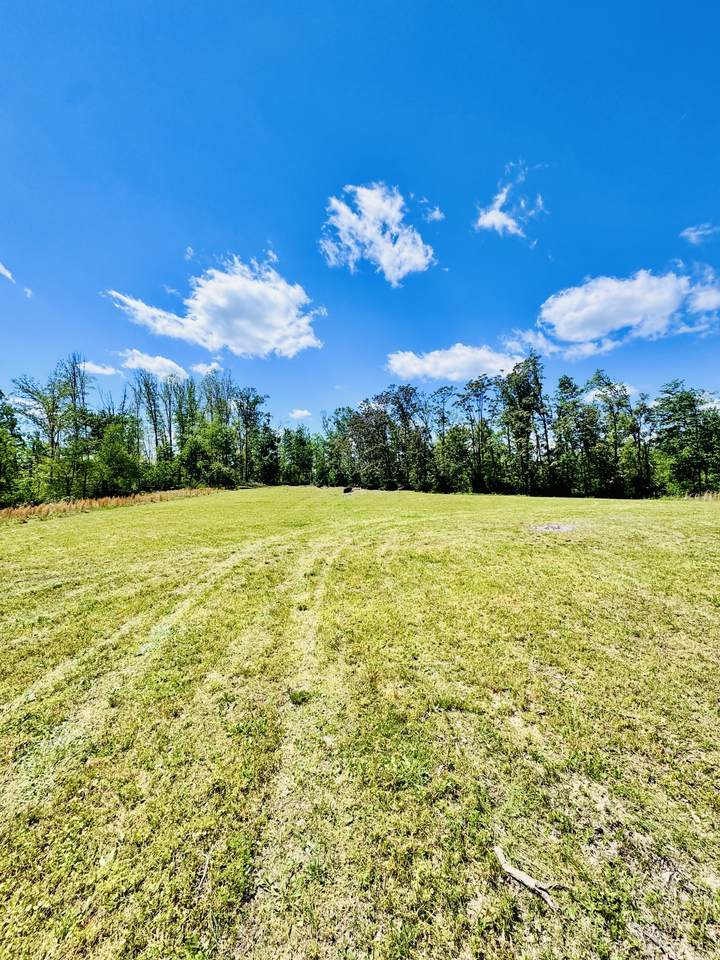 0 Annie Hollow Rd - Photo 1