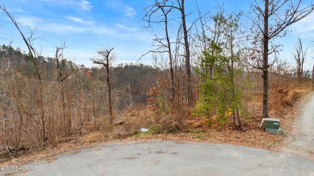 7 Lone Ridge Drive - Photo 1