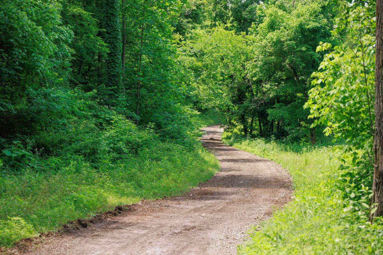 582 Cedar Bend Rd - Photo 1