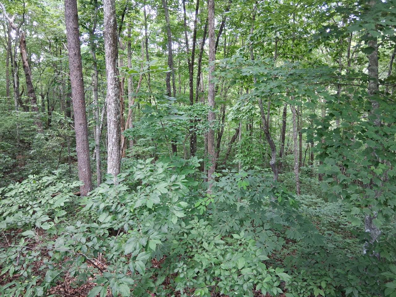 https://bt-photos.global.ssl.fastly.net/nashville/1280_boomver_1_RTC3228486-1.jpg